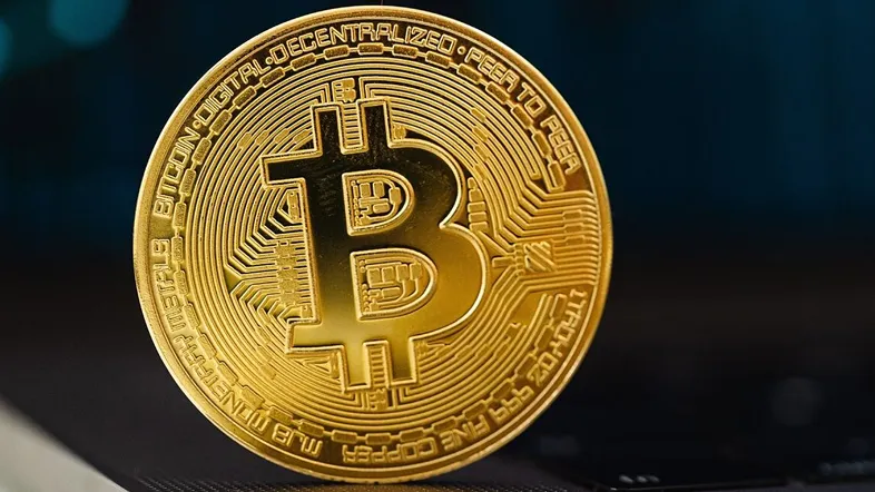 Sho Sosi Echo Wealth AI - Sho Sosi Echo Wealth AI